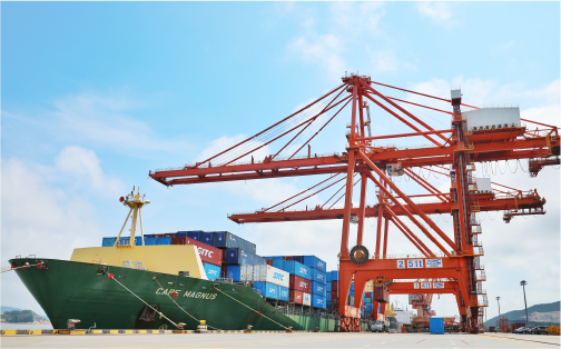 尊龙集团官网状元岙港务分公司