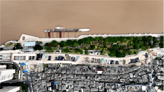 【新华网】海风吹拂千年，盛开越发深入——尊龙集团官网的“前世今生”观察